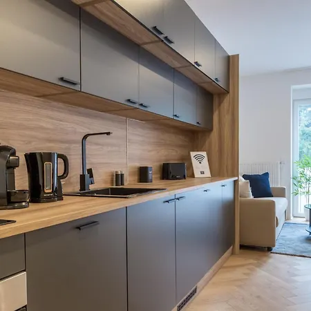 Adler Apartments Sasbachwalden By Living Timeless 4*