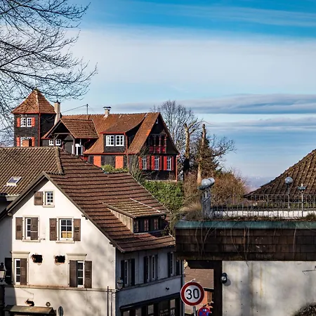 Adler Apartments Sasbachwalden By Living Timeless Aparthotel 4*