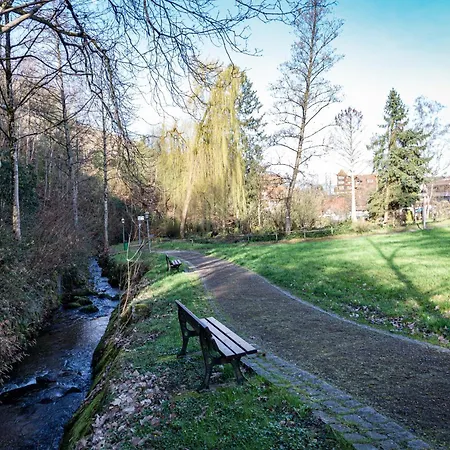 Aparthotel Adler Apartments Sasbachwalden By Living Timeless Sasbachwalden