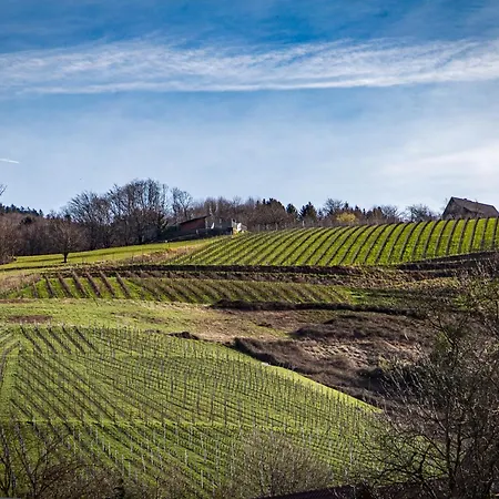 Living Timeless - Adler Lägenhetshotell Sasbachwalden