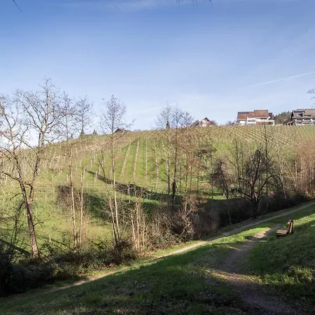 Adler Apartments Sasbachwalden By Living Timeless Sasbachwalden