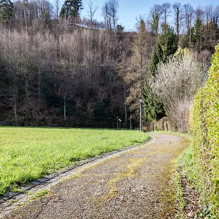Adler Apartments Sasbachwalden By Living Timeless 4*