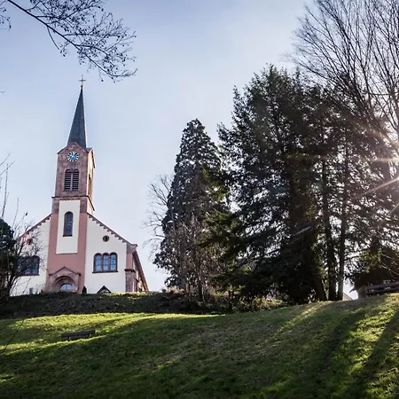 Adler Apartments Sasbachwalden By Living Timeless Aparthotel 4*