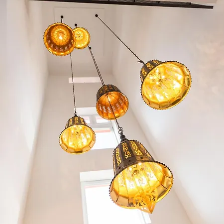 Living Timeless - Adler