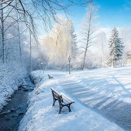 Living Timeless - Adler Sasbachwalden